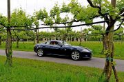Le Jaguar nella zona del Prosecco e Cartize (107/152)